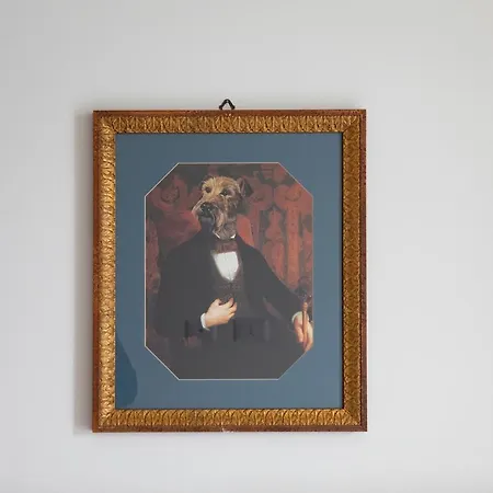 La Casa Del Pescatore - By Myhomeincomo Lägenhet Colonno